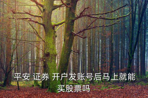  平安 證券 開戶發(fā)賬號后馬上就能買股票嗎