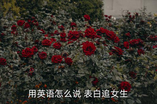 怎么用金融術語表白,追逐這個詞可以用多個英文單詞表達