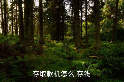 存取款機(jī)怎么 存錢