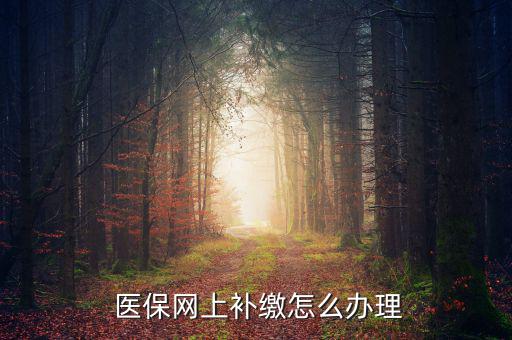 怎么補(bǔ)交醫(yī)保,因個(gè)人原因斷了社?？缮暾?qǐng)公司為自己繳納費(fèi)用