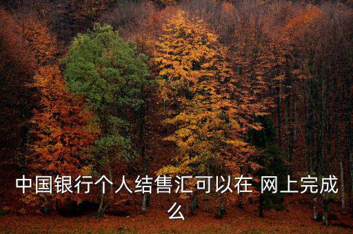 中國(guó)銀行個(gè)人結(jié)售匯可以在 網(wǎng)上完成么