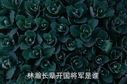 林瀚長(zhǎng)輩開國(guó)將軍是誰