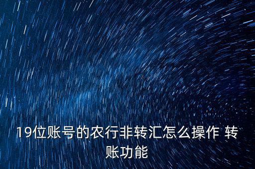 19位賬號的農(nóng)行非轉(zhuǎn)匯怎么操作 轉(zhuǎn)賬功能
