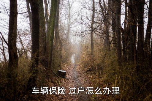 汽車保險(xiǎn)過戶怎么辦,二手車過戶注意事項(xiàng)一文讀懂!