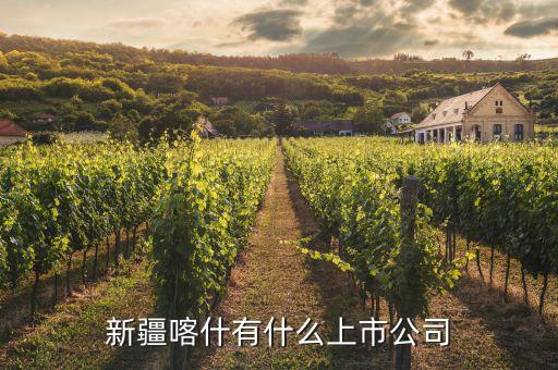 新疆喀什有什么上市公司