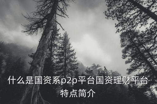 什么是國資流動平臺，國資是什么意思這樣的平臺是不是有很多