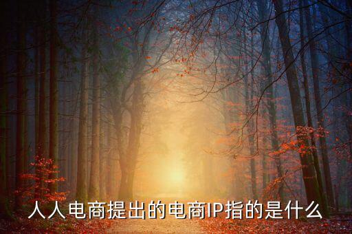 什么是ip經(jīng)濟，人人電商提出的電商IP指的是什么