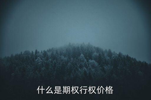什么叫行權(quán)價(jià)格，期權(quán)中行權(quán)價(jià)是什么意思