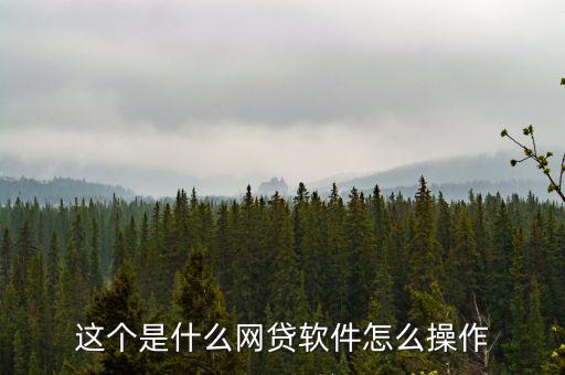 善融貸是什么，這個(gè)是什么網(wǎng)貸軟件怎么操作