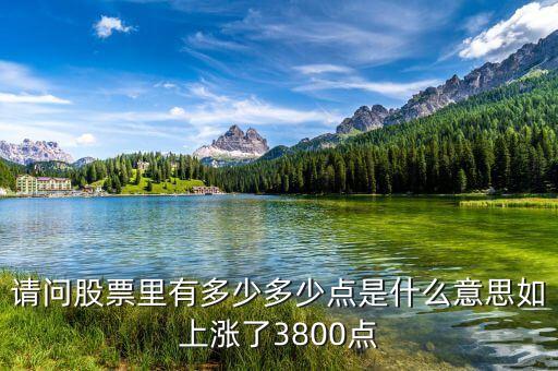 請問股票里有多少多少點(diǎn)是什么意思如上漲了3800點(diǎn)