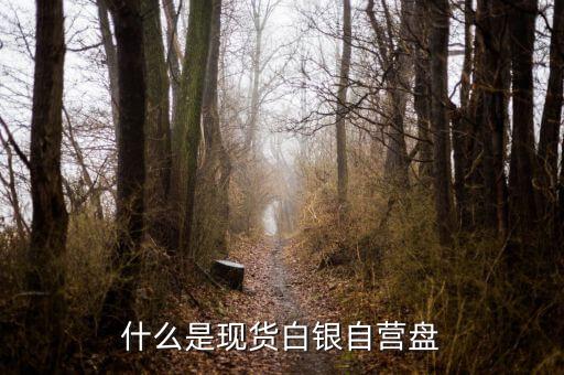 現(xiàn)貨盤是什么，國(guó)際盤現(xiàn)貨是什么意思