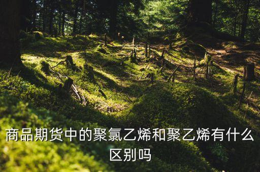 期貨pe是什么，聚丙烯期貨是什么