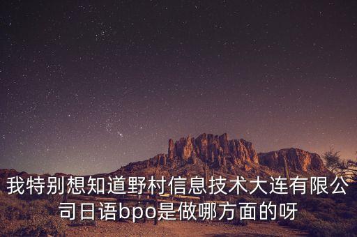 野村國際是什么公司，野村信息技術(shù)有限公司有日本人嗎交流的機會多嗎這個公司做BPO
