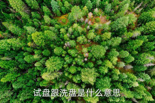 試盤跟洗盤是什么意思