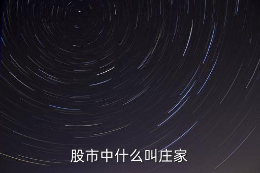 什么莊家股票，股票的莊家是指