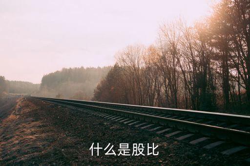 股比是什么意思，什么是股比