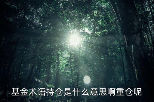 etf持倉是什么意思，基金術(shù)語持倉是什么意思啊重倉呢