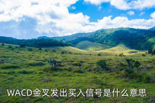 短線買(mǎi)入信號(hào)是什么意思，什么是短線買(mǎi)入