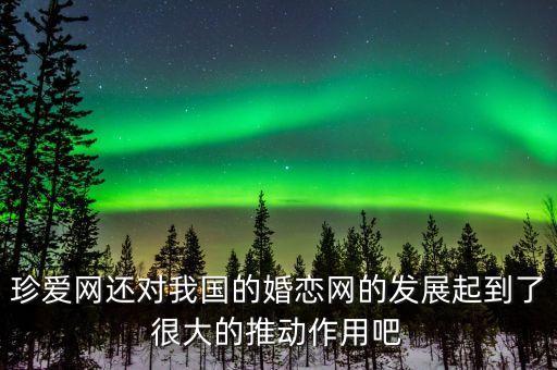珍愛(ài)網(wǎng)還對(duì)我國(guó)的婚戀網(wǎng)的發(fā)展起到了很大的推動(dòng)作用吧