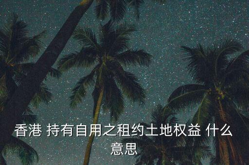 自用土地什么意思，香港 持有自用之租約土地權(quán)益 什么意思