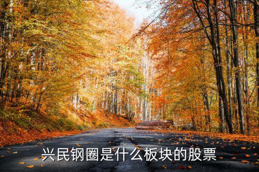興民鋼圈是什么板塊的股票
