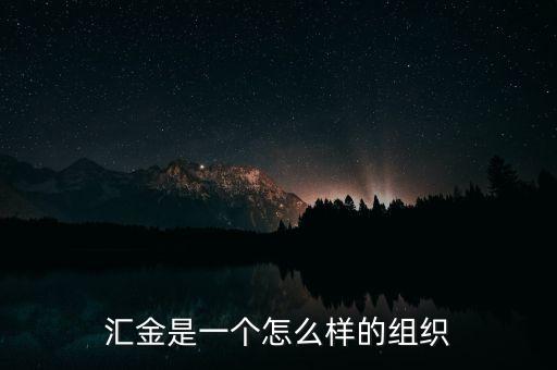 匯金是一個(gè)怎么樣的組織
