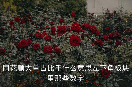 同花順大單占比手什么意思左下角板塊里那些數(shù)字