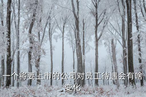 一個將要上市的公司對員工待遇會有啥變化