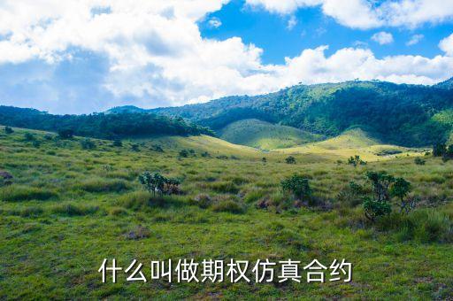 什么叫做期權(quán)仿真合約