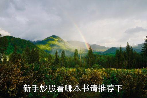 新手炒股看哪本書請(qǐng)推薦下