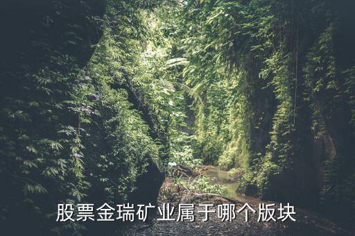 股票金瑞礦業(yè)屬于哪個(gè)版塊