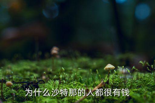 為什么沙特那么有錢，為啥沙特人為什么那么有錢