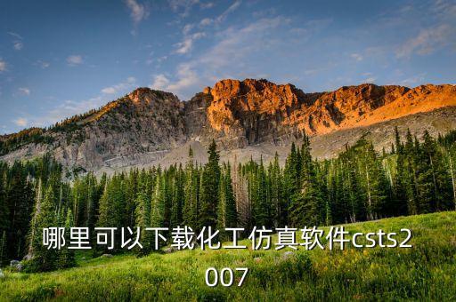 中石化微信代碼是什么，哪里可以下載化工仿真軟件csts2007