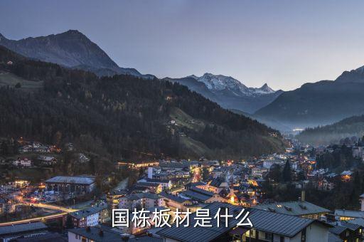 國棟長什么樣，國棟是什么意思