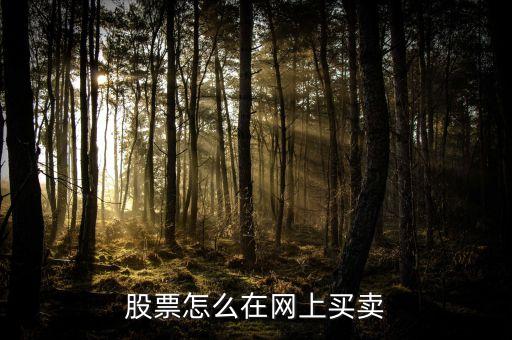三湘銀行什么開業(yè)，股票網(wǎng)上交易需要什么樣的手續(xù)