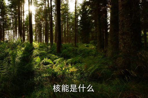 核能是什么