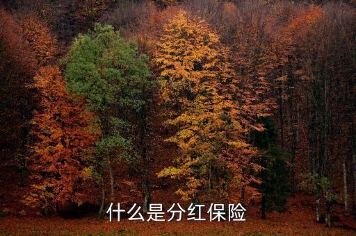 什么是分紅保險
