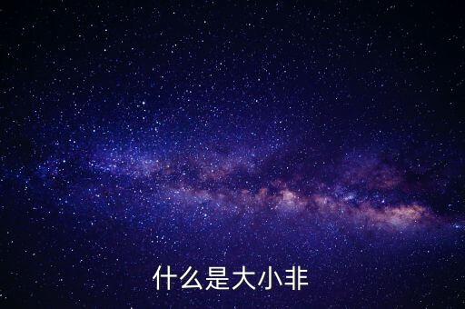 什么是大小非