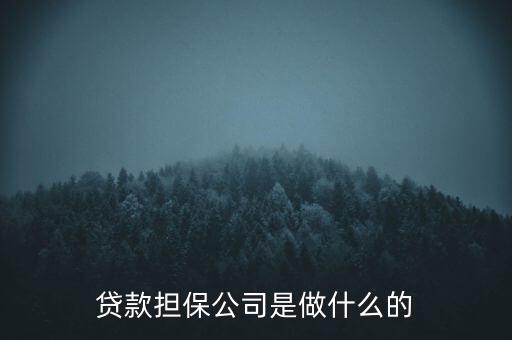 貸款擔(dān)保公司是做什么的