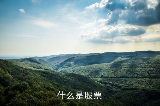 什么是股票