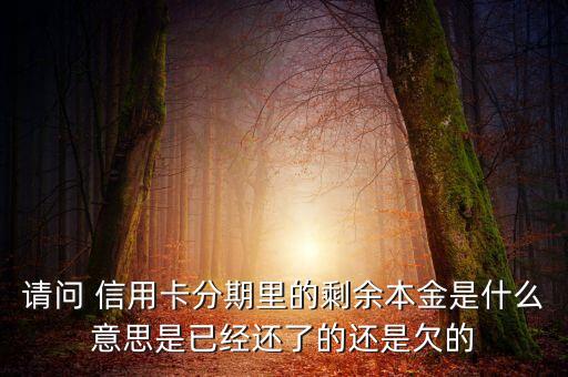 分期付息的本金是什么，請(qǐng)問 信用卡分期里的剩余本金是什么意思是已經(jīng)還了的還是欠的