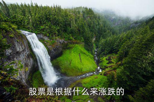 股票是根據(jù)什么來漲跌的