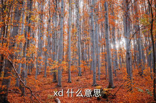 公司為什么分紅，公司一季度虧損那為什么還要分紅