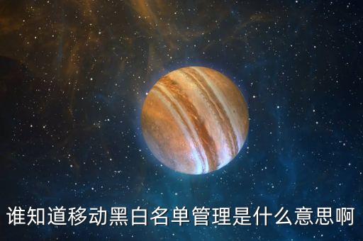 誰知道移動黑白名單管理是什么意思啊