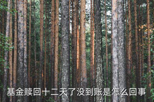 贖回成13天了為什么錢沒到賬，基金贖回成功了 為什么還沒到帳
