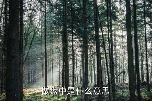主力做盤明顯是什么意思，主力做盤明顯是什么意思