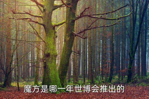 金屋魔方什么時候創(chuàng)辦，魔方是哪一年世博會推出的