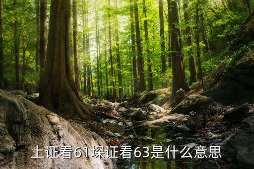 為什么按61和63能看到漲停，怎么看有幾個漲停板