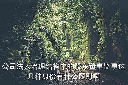 公司法人治理結(jié)構(gòu)中的股東董事監(jiān)事這幾種身份有什么區(qū)別啊