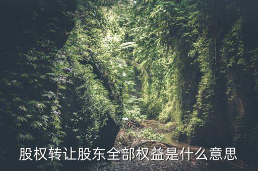 什么是全權(quán)益公司，股權(quán)轉(zhuǎn)讓股東全部權(quán)益是什么意思